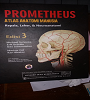 PROMETHEUS : Atlas  Anatomi Manusia , Kepala, Leher dan Neuron Anatomi