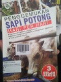 Penggemukan Sapi Potong Hari Per Hari 3 Bulan Panen .