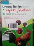 UNTUNG BERLIPAT TERNAK AYAM JANTAN BURAS AFKIR UNTUK PEDAGING