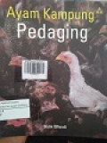 AYAM KAMPUNG PEDAGING