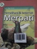 MEMELIHARA & BETERNAK MERPATI