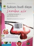 SUKSES BUDI DAYA JAMBU AIR DI PEKARANGAN & PERKEBUNAN