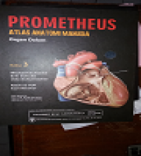 PROMETHEUS : Organ Dalam